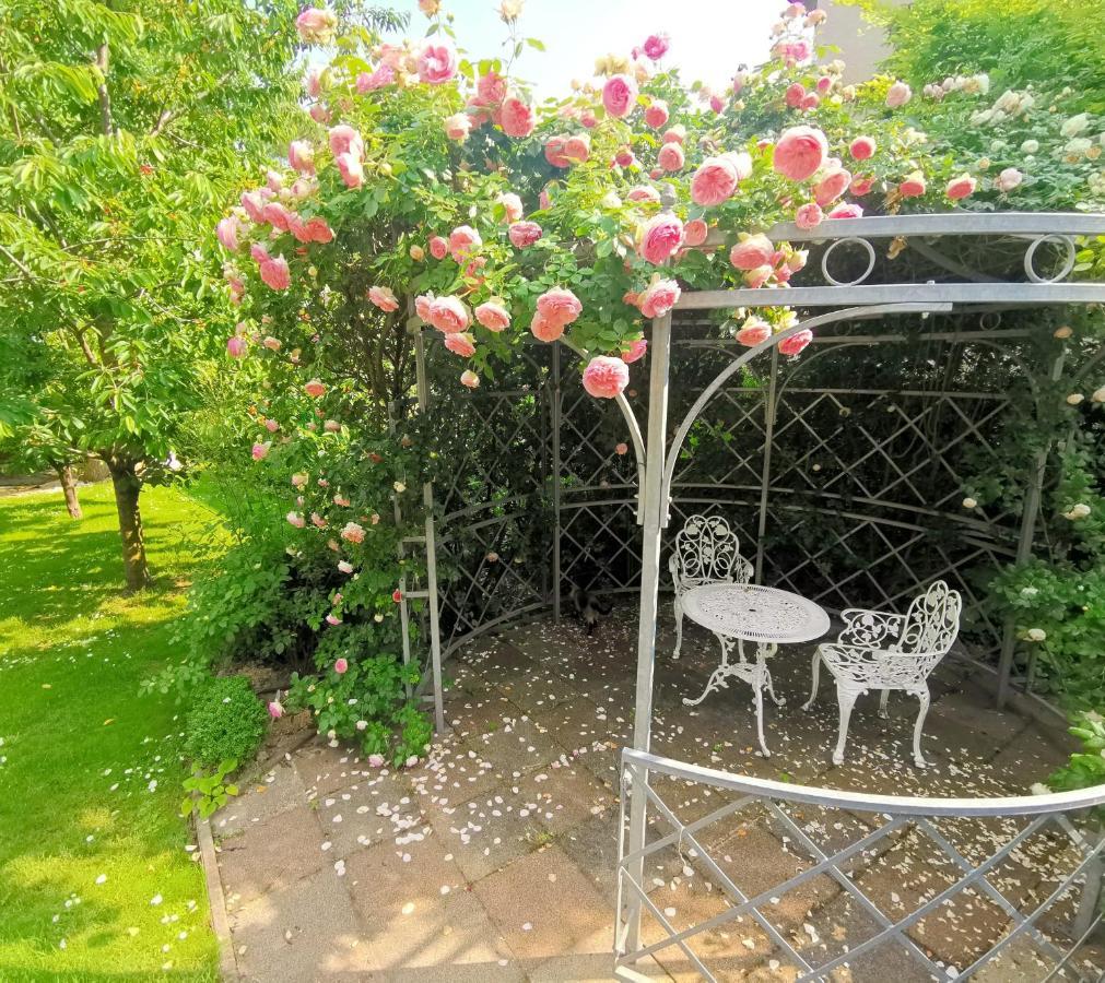 Bellevue Apartment With Ac & Heating & Terrace Budapeszt Zewnętrze zdjęcie